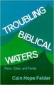 Troubling Biblical Waters:  Race, Class, and Family