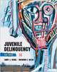 Juvenile Delinquency: The Core