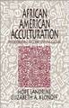 African American Acculturation:  Deconstructing Race and Reviving Culture