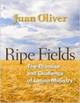 Ripe Fields:  : The Promise and Challenge of Latino Ministry