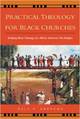Practical Theology for Black Churches: Bridging Black Theology & African American Folk Religion 