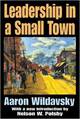Leadership in a small town